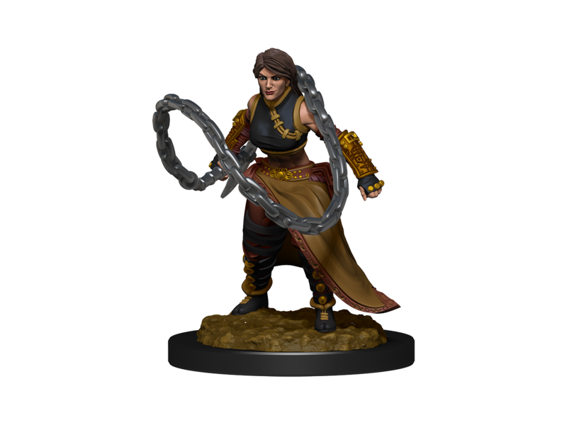 Wizkids D&D Unpainted Minis Wv14 Human Monk Female