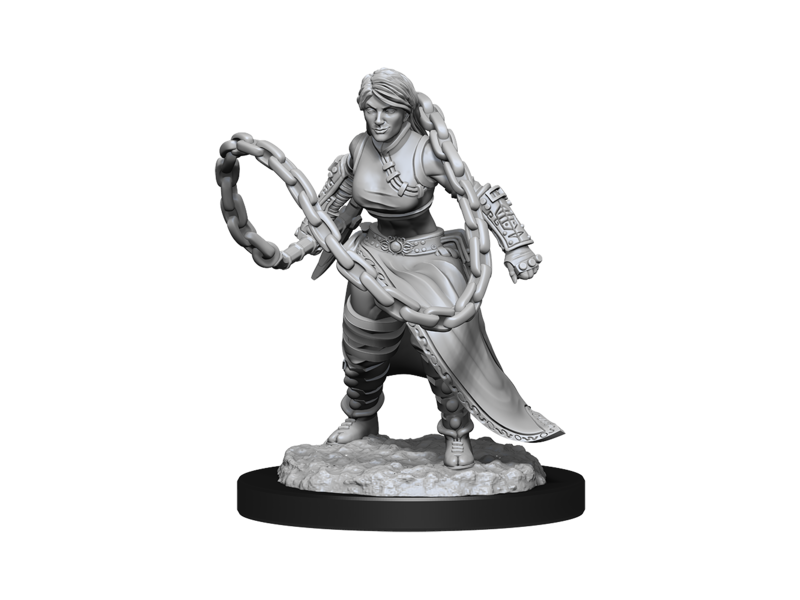 Wizkids D&D Unpainted Minis Wv14 Human Monk Female