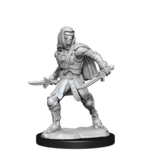 Wizkids D&D Unpainted Minis Wv14 Warforged Rogue