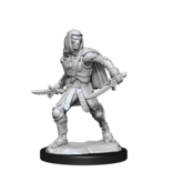 Wizkids D&D Unpainted Minis Wv14 Warforged Rogue