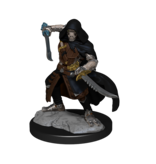 Wizkids D&D Unpainted Minis Wv14 Warforged Rogue