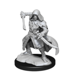 Wizkids D&D Unpainted Minis Wv14 Warforged Rogue