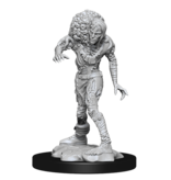 Wizkids D&D Unpainted Minis Wv14 Drowned Assassin/Asetic