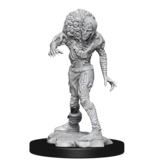 Wizkids D&D Unpainted Minis Wv14 Drowned Assassin/Asetic