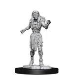 Wizkids D&D Unpainted Minis Wv14 Drowned Assassin/Asetic