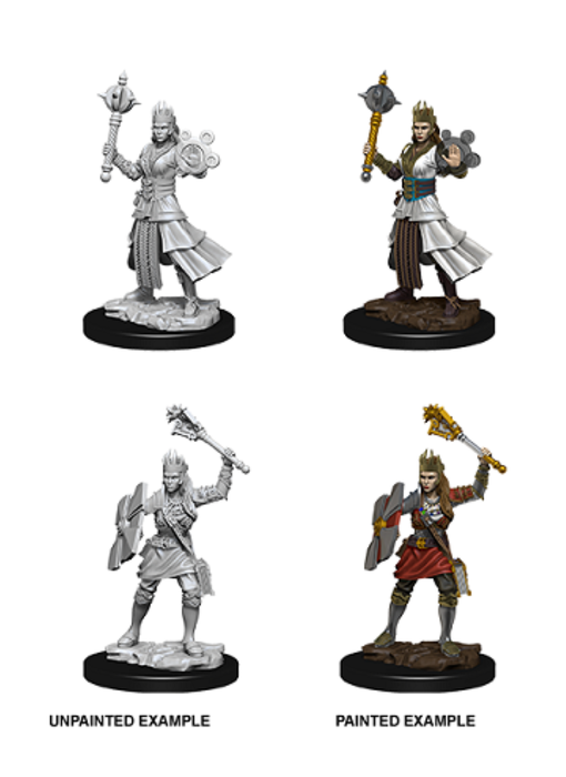 D&D Unpainted Minis Wv8 Female Human Cleric