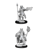 Wizkids D&D Unpainted Minis Wv13 Cleric/Wizard Male