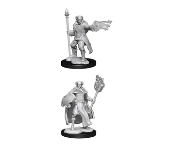 D&D Unpainted Minis Wv13 Cleric/Wizard Male