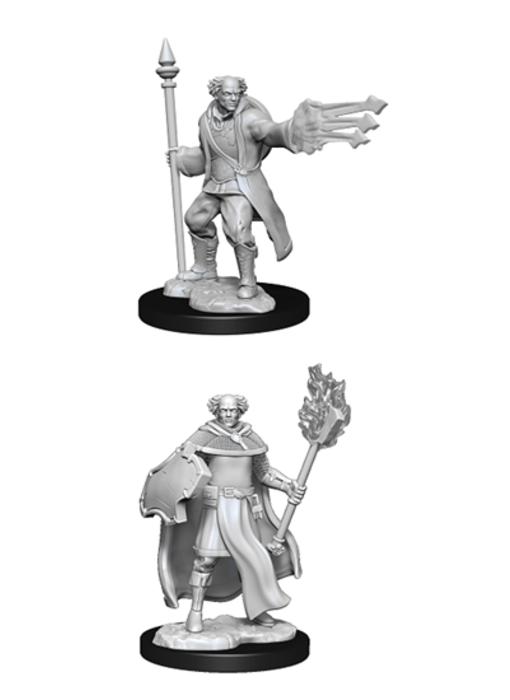 D&D Unpainted Minis Wv13 Cleric/Wizard Male