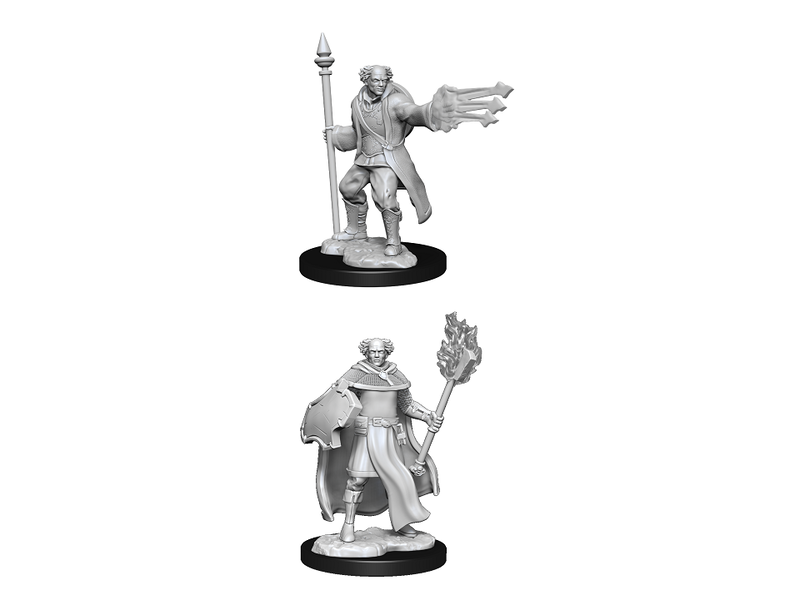 Wizkids D&D Unpainted Minis Wv13 Cleric/Wizard Male