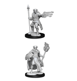 Wizkids D&D Unpainted Minis Wv13 Cleric/Wizard Male
