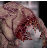 Dirty Down Dirty Down Gore