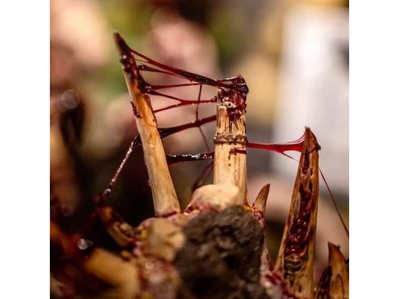 Dirty Down Dirty Down Gore