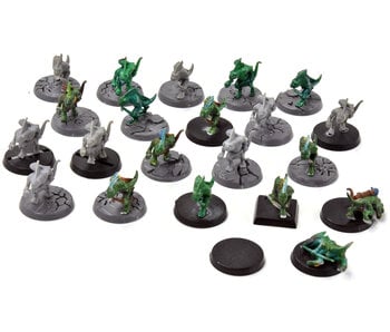SERAPHON 21 Skinks #2 Sigmar