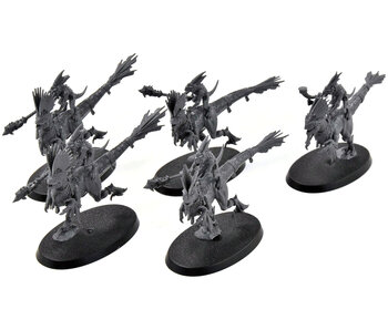 SERAPHON 5 Raptadon Hunters #1 Sigmar