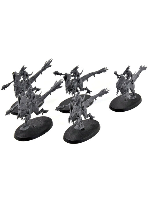 SERAPHON 5 Raptadon Hunters #1 Sigmar