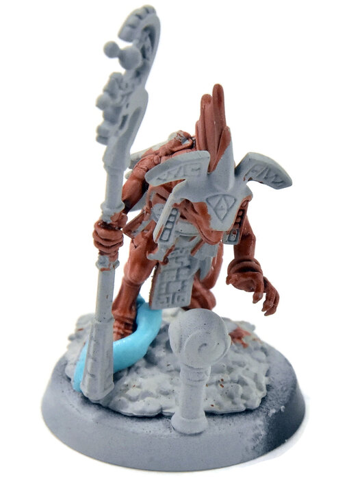 SERAPHON Skink Starpriest #1 Sigmar