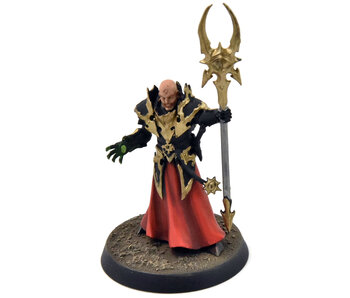SLAVES TO DARKNESS Chaos Sorcerer Lord #1 WELL PAINTED Sigmar