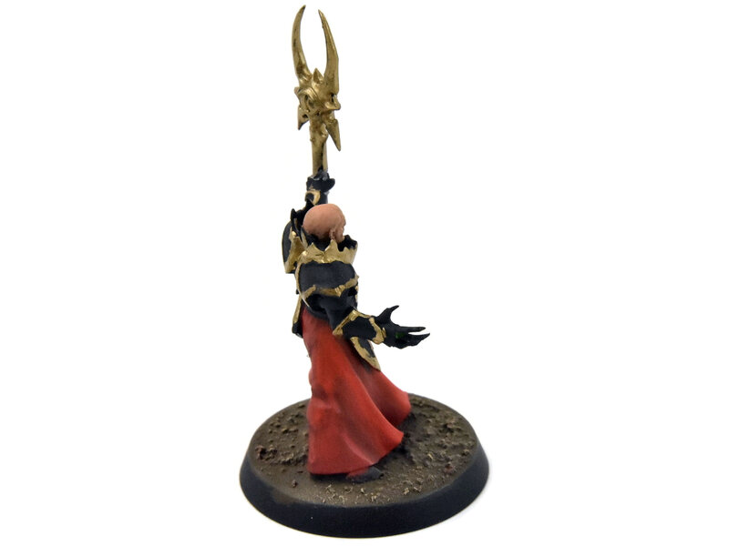 Games Workshop SLAVES TO DARKNESS Chaos Sorcerer Lord #1 WELL PAINTED Sigmar