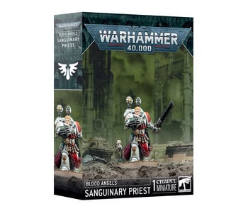 Blood Angels Sanguinary Priest