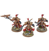 Games Workshop ADEPTUS CUSTODES 2 Allarus Custodians And Vexilus Praetor #3 PRO PAINTED 40K