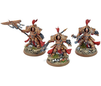 ADEPTUS CUSTODES 2 Allarus Custodians And Vexilus Praetor #3 PRO PAINTED 40K