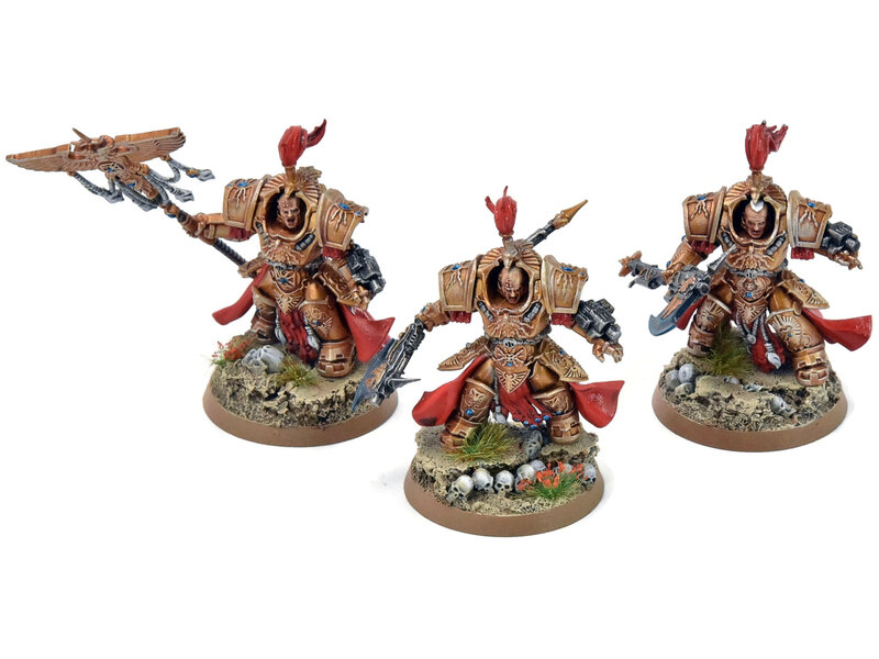 Games Workshop ADEPTUS CUSTODES 2 Allarus Custodians And Vexilus Praetor #3 PRO PAINTED 40K
