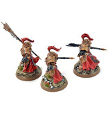 Games Workshop ADEPTUS CUSTODES 2 Allarus Custodians And Vexilus Praetor #3 PRO PAINTED 40K