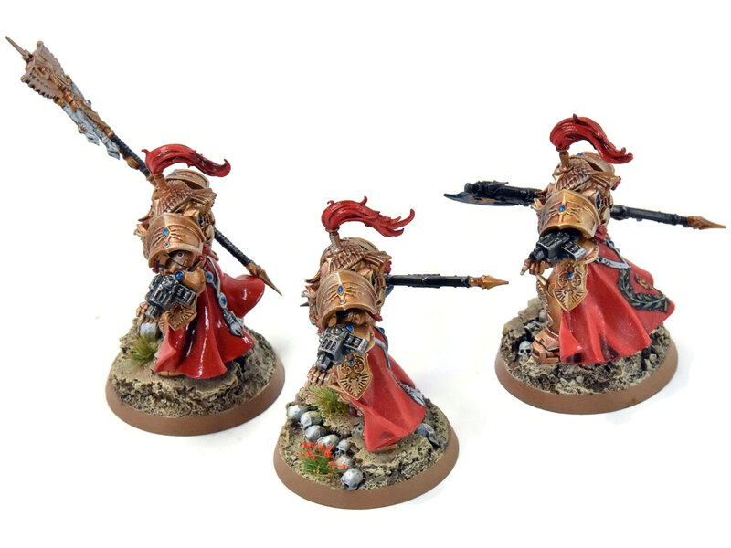 Games Workshop ADEPTUS CUSTODES 2 Allarus Custodians And Vexilus Praetor #3 PRO PAINTED 40K
