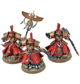 Games Workshop ADEPTUS CUSTODES 2 Allarus Custodians And Vexilus Praetor #3 PRO PAINTED 40K