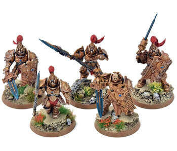ADEPTUS CUSTODES 5 Custodian Guards Squad #2 PRO PAINTED Warhammer 40K