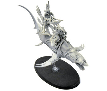 IDONETH DEEPKIN Akhelian Allopex #1 Sigmar