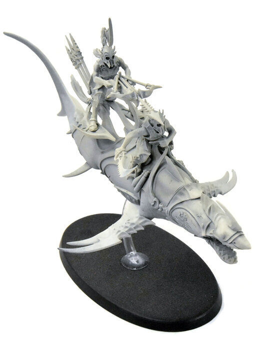 IDONETH DEEPKIN Akhelian Allopex #1 Sigmar