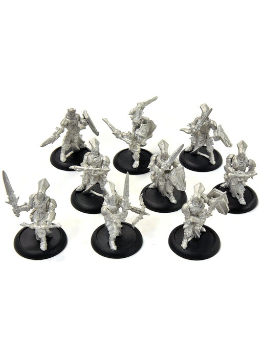 WARMACHINE Menoth 9 Exemplars #1 METAL