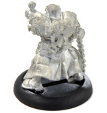 WARMACHINE Cygnar Captain Maxwell Finn #1 METAL