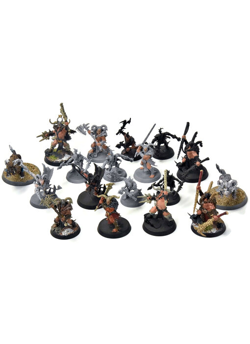 SLAVES TO DARKNESS 18 Untamed Beast #1 Sigmar