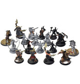 Games Workshop SLAVES TO DARKNESS 18 Untamed Beast #1 Sigmar