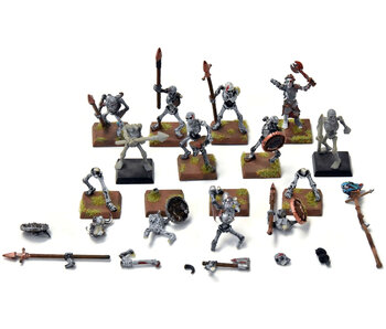 VAMPIRE COUNTS 12 Skeleton Warriors #3 Fantasy
