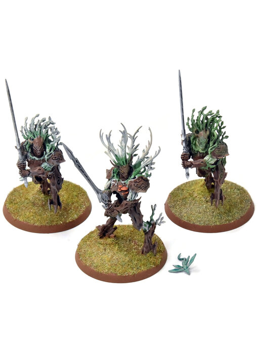 SYLVANETH 3 Kurnoth Hunters #1 Sigmar WELL PAINTED