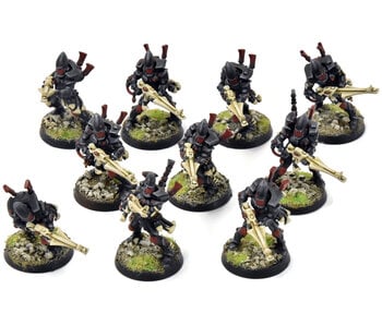 AELDARI 10 Guardians #1 PRO PAINTED Warhammer 40K