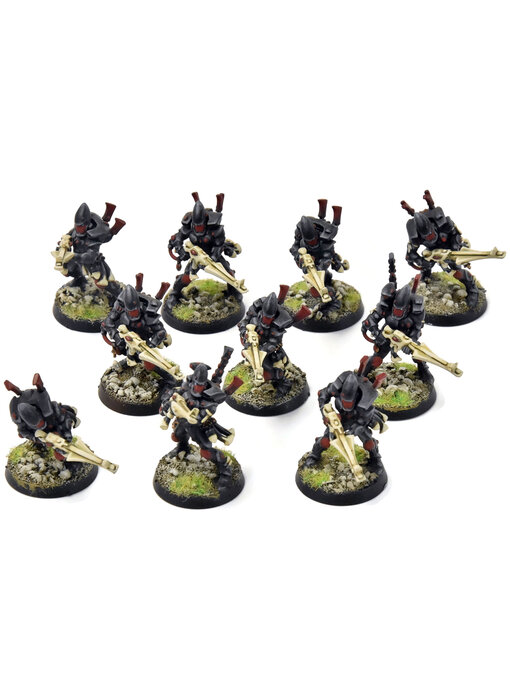 AELDARI 10 Guardians #1 PRO PAINTED Warhammer 40K