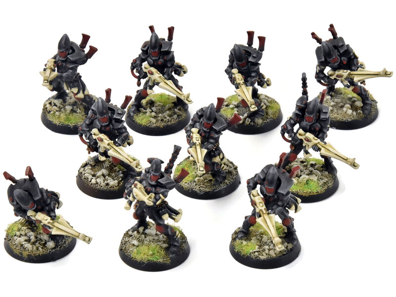 Games Workshop AELDARI 10 Guardians #1 PRO PAINTED Warhammer 40K