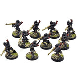 Games Workshop AELDARI 10 Guardians #1 PRO PAINTED Warhammer 40K