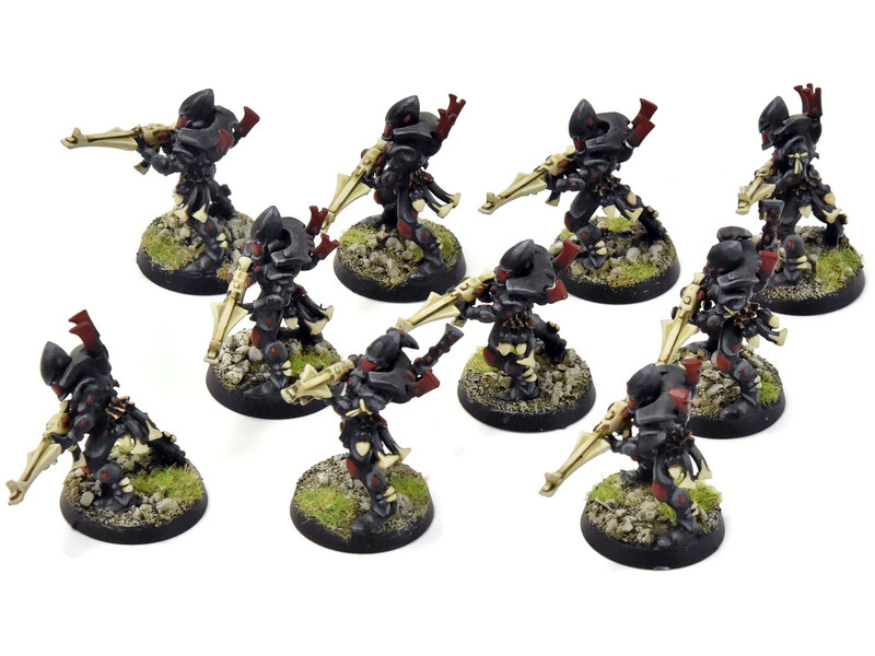 Games Workshop AELDARI 10 Guardians #1 PRO PAINTED Warhammer 40K