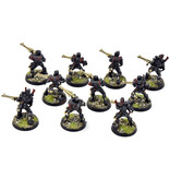 Games Workshop AELDARI 10 Guardians #1 PRO PAINTED Warhammer 40K
