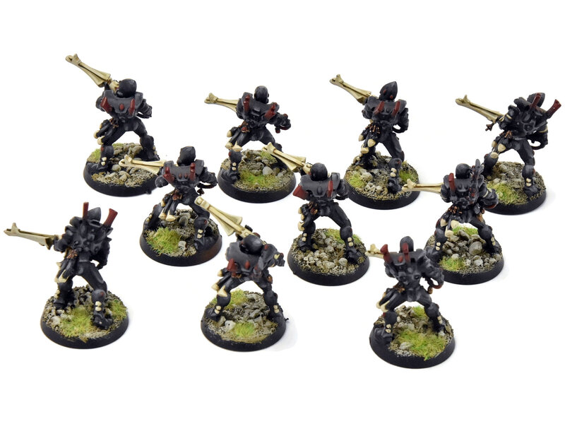 Games Workshop AELDARI 10 Guardians #1 PRO PAINTED Warhammer 40K