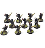 Games Workshop AELDARI 10 Guardians #1 PRO PAINTED Warhammer 40K