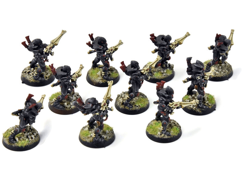 Games Workshop AELDARI 10 Guardians #1 PRO PAINTED Warhammer 40K