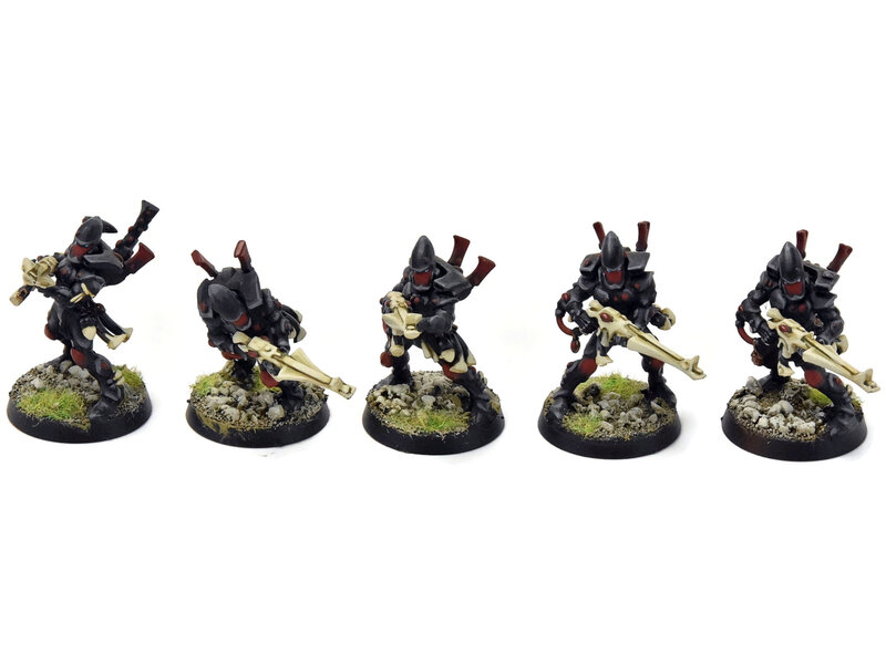 Games Workshop AELDARI 10 Guardians #1 PRO PAINTED Warhammer 40K