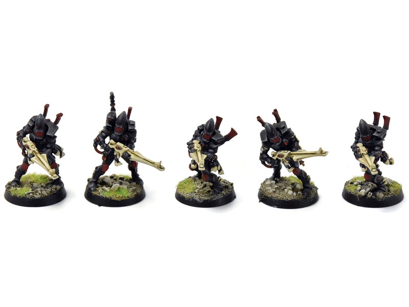 Games Workshop AELDARI 10 Guardians #1 PRO PAINTED Warhammer 40K